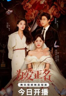 Stand up for Love (2026)